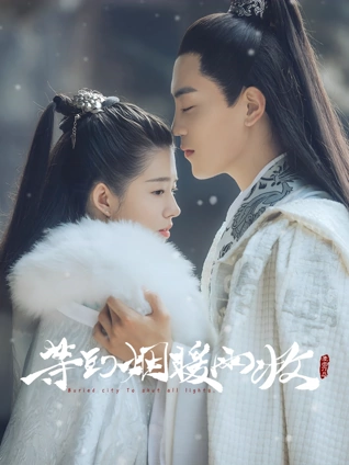 佐罗小子韵律儿歌7